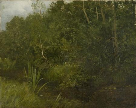 HOFFMANN, Hans Landscape with a pond France oil painting art